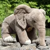 Peluche éléphant de savane africain, 28 cm, respectueuse de Voir les images du produit 9