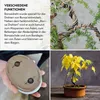 10 m drutu do bonsai wykonanego z anodyzowanego aluminium w Podgląd zdjęcia produktu 4