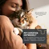 REAVET Urin Stop Spray für Hunde & Katzen 500ml I Mildes Produktbild-Vorschau 3