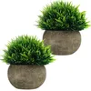Belle Vous Mini Künstliche Pflanzen im Topf (2er Pack) Produktbild-Vorschau 1