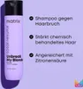 Matrix Total Results Unbreak My Blonde Shampoo 300 ml Produktbild-Vorschau 3