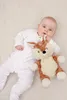 Cloud b® Love Light Buddies – Finley Fawn ™ Melody Produktbild-Vorschau 16