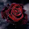 Diamond Painting Rose 5D Diamant Painting Bilder Full Set Produktbild-Vorschau 1