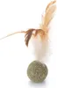 Beeztees Catnip Ball mit Federn natur Produktbild-Vorschau 1