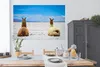 MuchoWow® Poster Lama - Tiere - Sand 180x120 cm - Produktbild-Vorschau 3