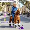 PonyCycle Reitpferd Authentisches Pferd Kinderfahrrad Produktbild-Vorschau 3