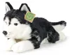 Peluche Husky 36 Cm Ecologico Anteprima dell’immagine prodotto 2