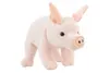 Maiale di peluche 23 cm - ECO-FRIENDLY Anteprima dell’immagine prodotto 1