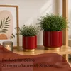 Übertöpfe in Ø 10,5 cm, Dunkelrote Blumentöpfe im 2er Set Produktbild-Vorschau 4