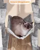 Yaheetech Stabiler Kratzbaum Katzenbaum 159 cm hoch, mit Produktbild-Vorschau 8