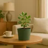 Prosperplast s.r.o. Vaso da fiori TUBO 19,9 cm, verde Anteprima dell’immagine prodotto 3