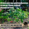 BigDean 10 Tomatenspiralstäbe 110cm voll verzinkt Produktbild-Vorschau 4