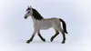 Cheval de Selle Français Jument Voir les images du produit 9