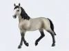 Cheval de Selle Français Jument Voir les images du produit 6