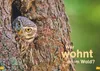 WAS IST WAS Erstes Lesen Band 6. Wald Produktbild-Vorschau 6
