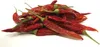 Tropical Carnival® Natural Chili Pepper Pods - sušené čili Náhľad obrázku produktu 2