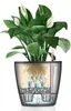 LECHUZA-Vase à plantes CLASSICO Premium LS 21 Anthracite Voir les images du produit 6