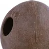 Terrario CocoLair - ganze Kokosnuss glatt Produktbild-Vorschau 3