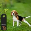 Hereingedackelt Türhänger mit Dackel Motiv Hund Haustüre Produktbild-Vorschau 3