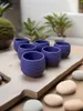 Zestaw 6 okrągłych doniczek Cactus w kolorze fioletowym, 10 Podgląd zdjęcia produktu 7