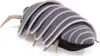 Folkmanis Fingerpuppe Assel 11 cm Produktbild-Vorschau 5