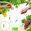 KADAX glazen gistballon-set "Alatri", met kunststofmand en Productafbeelding-voorbeeld 6