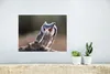 MuchoWow® Poster Eule - Makro - Tier 40x30 cm - Plakate für Produktbild-Vorschau 5