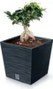 Blumentopf Pflanzkübel FURU Square Balkonkasten Blumenkübel Produktbild-Vorschau 4