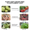 Collage showing the effects of plant grow lights on different plants. Produktbild-Vorschau