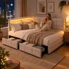 INONEFT Polsterbett Jugendbett 140x190 mit Stauraum Schubl, Produktbild-Vorschau 2
