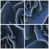 Bild auf Leinwand - Leinwandbild - 3 Teile - Blau Kaktus Produktbild-Vorschau 8