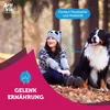 VITAR Veterinae ArtiVit Sirup 500 ml für Hunde & Katzen – Produktbild-Vorschau 4
