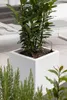 Accessori per vasi da fiori - INSERTO per irrigazione in Anteprima dell’immagine prodotto 2