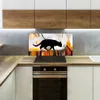Coloray Spritzschutz aus Glas 100x50  Wandkunst Produktbild-Vorschau 3
