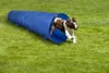maxxpro Hundetunnel Agility Set, Faltbar, Leicht, mit Produktbild-Vorschau 5