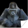 MuchoWow® Poster Ein Gorilla schaut eindrucksvoll in die Produktbild-Vorschau 1