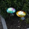 Dekoracja ogrodowa Led solarna Salona Podgląd zdjęcia produktu 9