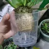 Blumentöpfe 10 Stück - Transparent - Kunststoff - 11,5 cm Produktbild-Vorschau 2