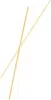 Linguine KAMUT khorasan No. 152 (12 x 500g) - Monograno Anteprima dell’immagine prodotto 2