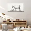 Coloray Bild aus Leinwand 100x50 Leinwand Dekoration - Tier Produktbild-Vorschau 3