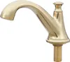 A close-up studio shot of a gold-colored faucet. Podgląd zdjęcia produktu