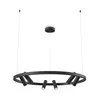Lampa wisząca LED czarna, regulowane punkty, wys. 120 cm Podgląd zdjęcia produktu 1