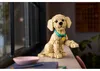 LEGO Icons 11384 Golden Retriever Welpe Anteprima dell’immagine prodotto 25
