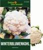 Winterblumenkohl Walcheren Samen - Brassica oleracea Produktbild-Vorschau 1