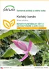 SAFLAX - Keňský banán - Musa velutina - 8 Semena Náhled obrázku produktu 1