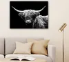 MuchoWow® - Leinwandbilder - Schottischer Highlander - Kuh Produktbild-Vorschau 6