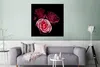 MuchoWow® Poster Ein Foto von rosa Rosen mit schwarzem Produktbild-Vorschau 6