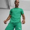 Puma Teamfinal Trikot Kurzarm Herren - Grün  | Größe: L Produktbild-Vorschau 3