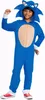 A child wearing a Sonic the Hedgehog costume. Podgląd zdjęcia produktu