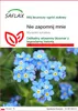 SAFLAX - Nie zapomnij mnie - 150 Nasiona - Myosotis Podgląd zdjęcia produktu 1